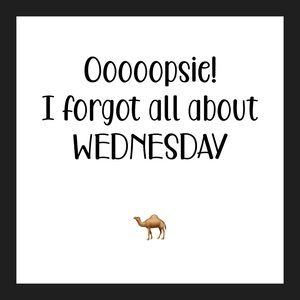 WEDNESDAY